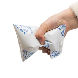 Pak es <span class=keywords><strong>Gel</strong></span> dapat dipakai ulang 500g pengiriman makanan tidak beracun - Product Image 3