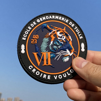 Écussons en PVC souple de haute qualité, motif tigre de dessin animé, en silicone, avec logo, personnalisés, gaufrés, 3D, sans nickel, avec crochet magnétique et boucle