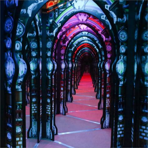 Labyrinthe de miroir drôle personnalisé parc d'attractions manèges adultes parc à thème labyrinthe de miroir à vendre - Product Image 2