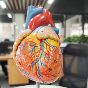 DARHMMY Model hati besar sains medis anatomis alami dengan 2 bagian bahan PVC - Product Image 3