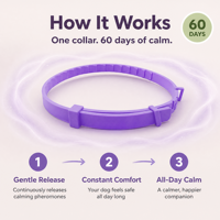 Collier apaisant pour animaux de compagnie en polyester solide réglable avec logo personnalisé Chanson, anti-anxiété, anti-stress, à la phéromone, pour chiens et chats
