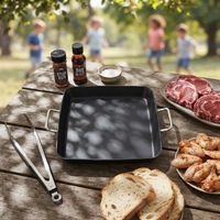 Poêle électrique 24V, plaque chauffante électrique, poêle antiadhésive avec commande par bouton, barbecue extérieur