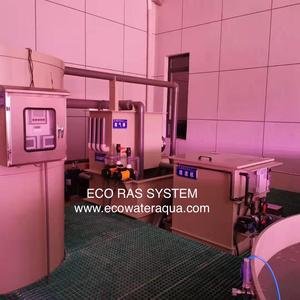 ECO เครื่องจักรการเกษตร/สถานรับเลี้ยงเด็ก/โรงเพาะฟัก/เติบโตออกจากระบบ Ras - Product Image 3