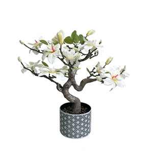 Árbol Bonsái <span class=keywords><strong>de</strong></span> <span class=keywords><strong>Magnolia</strong></span> Artificial Realista, Flor <span class=keywords><strong>de</strong></span> <span class=keywords><strong>Magnolia</strong></span> Artificial en Maceta, Bonsái Floral Artificial para Decoración Oriental del Hogar - Product Image 3