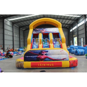 Toboggan aquatique Offre Spéciale commercial gonflable Tale of <span class=keywords><strong>Ladybug</strong></span> Cat <span class=keywords><strong>Noir</strong></span> maison de rebond piscine videur gonflable Double toboggan à louer - Product Image 2