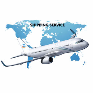 从中国到美国的空运门到门快速运输公司 - Product Image 1