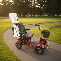 Voiturette de golf à moteur 1000W pour un seul joueur handicapé, buggy de golf/scooter de golf avec garde-boue