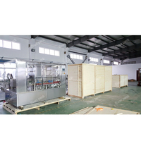 Machine d'embouteillage de remplissage de bouteilles automatique à grande vitesse remplisseur de piston linéaire ligne d'emballage de bouteilles en plastique pe ligne de machine d'embouteillage liquide