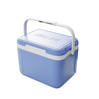 Boîte isotherme pour lait maternel de haute qualité en plastique Igloo Mini 5l facile à transporter avec poignée pour le camping en plein air