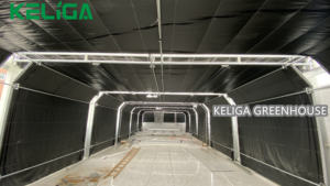 Fabricant spécialisé dans les serres tunnel pour la culture des champignons - Product Image 6