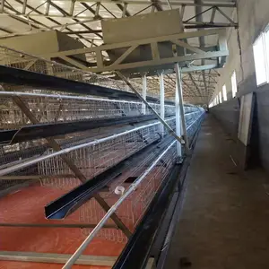 design poultry farm equipments be used to chicken house