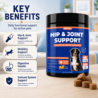 BeiYuan Pet Hip Joint Soft Chews, complément alimentaire pour la mobilité et la santé digestive, glucosamine, probiotiques, haute palatabilité pour chats, OEM