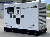 Générateur Diesel 200 kVA Insonorisé, Électrique, Énergie Alternative, Genset 50Hz 60Hz Super Silencieux, Électricité 200 kVA 160 kW