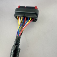 Harness Kabel OEM/ODM yang Dapat Disesuaikan untuk Mobil Golf Listrik & Otomotif dengan Isolasi PBT - Produsen Profesional