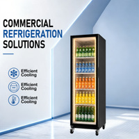 Réfrigérateur commercial vertical à porte simple de qualité supérieure pour boissons, idéal pour les magasins de proximité