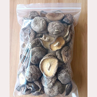 Vente en gros de champignons Shiitake séchés comestibles déshydratés de haute qualité