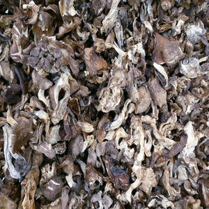 Lyophyllum Decastes, Hongo Silvestre Comestible Puro y Seco, de Bozhou, China, para la Preparación de Pollo Frito, en Venta - Product Image 4