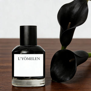 Perfume de Marca Privada de Diseñador al por Mayor, Nueva Colección con Duración Todo el Día, Fragancia Amaderada Especiada de Canela - Product Image 1