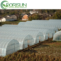 Serre Agricole Professionnelle 1000m² – Grande Serre Maraîchère à Film Plastique, Faible Coût