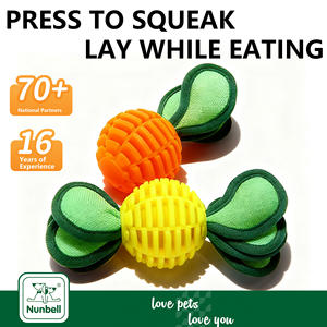 Giocattolo per Cani da Interno Interattivo Divertente Resistente ai Morsi in TPR Durevole della Fabbrica Nunbell - Product Image 1