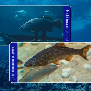Caméra <span class=keywords><strong>de</strong></span> pêche étanche avec détecteur <span class=keywords><strong>de</strong></span> poissons 2000TVL, écran LCD 5 pouces, vision nocturne à 195 degrés, 12 LED, haute luminosité, 15M 20M 30M - Product Image 4