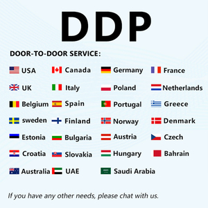Agente de carga DDP puerta a puerta de Shenzhen a Dinamarca - Product Image 2