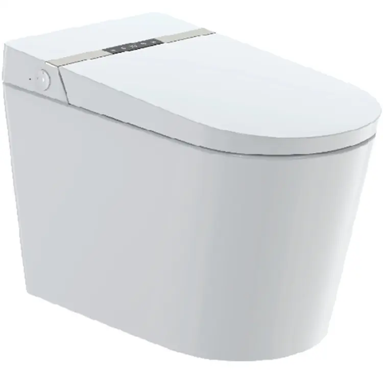 Sanitär keramik intelligente Toilette intelligente WC boden montierte Toiletten schüssel Bad elektrisches Bidet