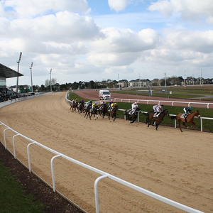 Conception de quatre rails de clôture de cheval de PVC résistant aux UV d'usine de la Chine pour l'arène d'équitation de ferme et l'application de yard équin - Product Image 1