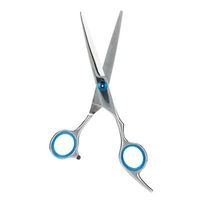 Coupe de cheveux professionnelle ciseaux amincissants Salon de coiffure ciseaux dents plates régulières ciseaux de barbier