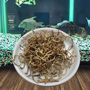 Hot Sale Gefrier getrocknete Pellet form Regenwürmer und Fischfutter 100% natürliches Protein Haut & Mantel Gesundheit - Product Image 2