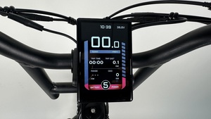 Vélo électrique à disque QUEENE 20 pouces facile à transporter, adapté aux adolescents, VTT pour adolescents TDN00Z - Product Image 2