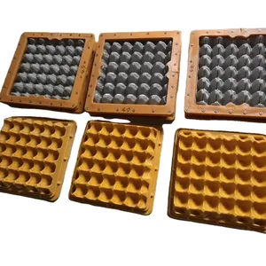 China Universal Plastic 30 Cavities Egg Tray Mold Die