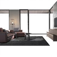 Ventanas Corredizas de Aluminio Serie 110 de Deyu, Modernas y Sencillas, Aislamiento Acústico y Térmico, de Piso a Techo para Villas