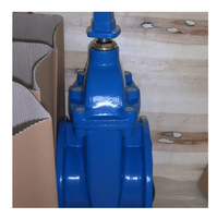 Vanne à opercule en fonte nodulaire DN50-DN2000mm manuelle pour eau à température normale