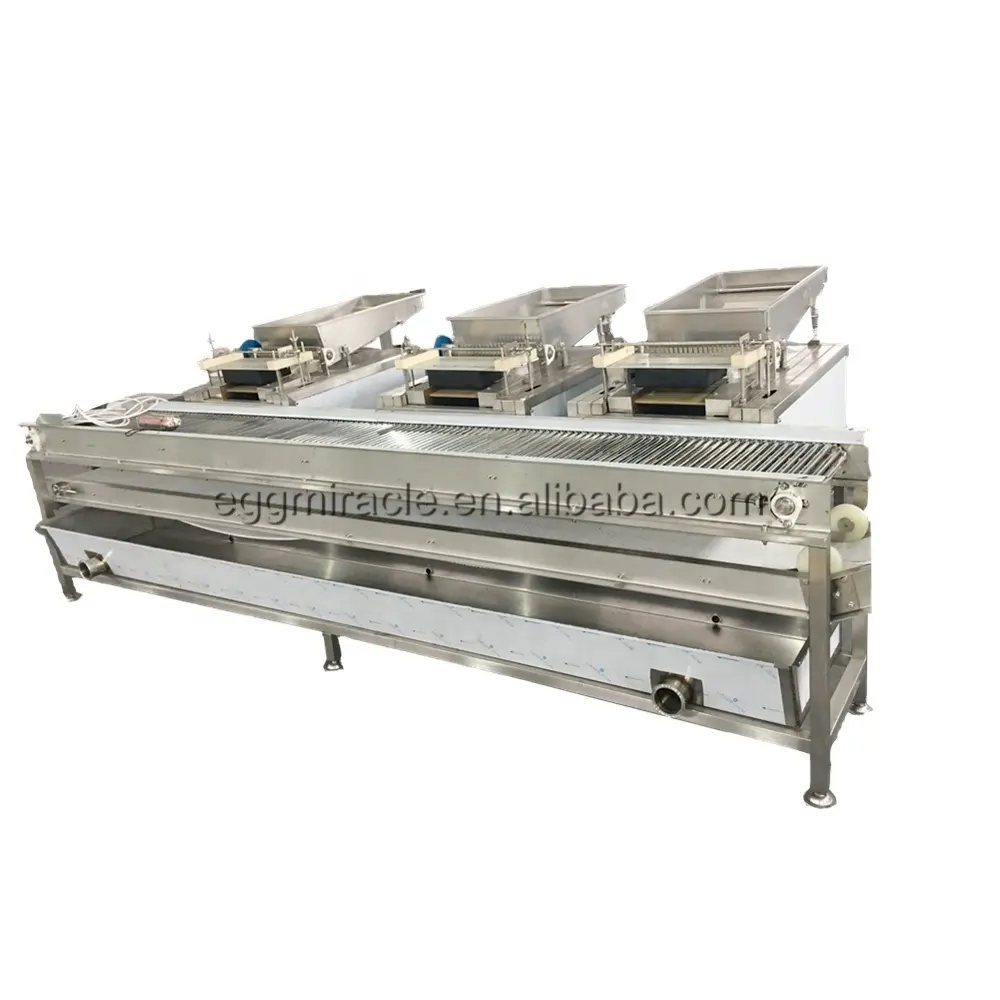 Industrial automatic bird eggs quail egg shelling peeling production line for sale