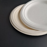 Assiette alimentaire jetable biodégradable en bagasse de canne à sucre de 7 pouces, écologique, compostable, légère, pour mariage, fête, et compatible micro-ondes