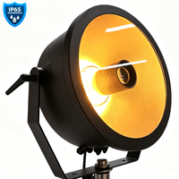 Projecteur de scène LED Aura Beam RGBWAL GBR-R450B 450W IP65 pour extérieur