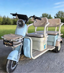 Triciclo de Acero de Tres Ruedas para Adultos, 48V, con Motor sin Escobillas de 3 Velocidades, Alcance de 60 km, Batería de Plomo-Ácido de 60 km, Apto para Personas Mayores - Product Image 4