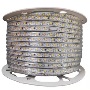 2023 Nieuwste Modellen Hoogspanning 220V Smd 5050 Rgb Led Strip 60-Led 1M Cut 50M/Roll Afstandsbediening Ce Gecertificeerd Licht Emitting