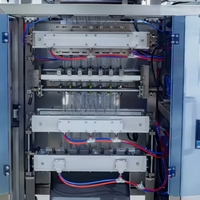 Machine d'emballage multi-voies pour sachets de shampoing liquide et de vinaigrette