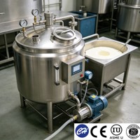 Cuve de Fermentation Laitière 304 316L, Fermenteur de Lait et de Yaourt en Acier Inoxydable, Équipement Sanitaire à Double Enveloppe pour le Traitement