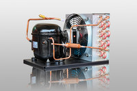 Réfrigération 2 hp 1hp 1/2hp unité de condensation pour distributeur d'eau refroidisseur de bière distributeur automatique TOEFLEX