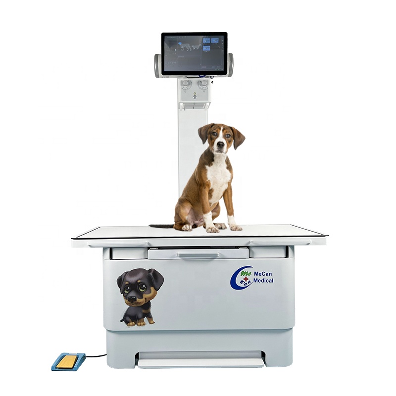 How Much Do Xrays Cost For Dogs