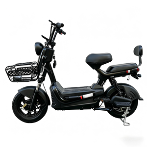 Bicicleta Eléctrica en Oferta, E-Bike de 500W/350W 48V 14'', Bicicleta Eléctrica Económica/Bicicleta Eléctrica de 50km de Autonomía - Product Image 2