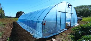 200 Micron UV Resistant Plastic Film Agriculture Tunnel Greenhouse