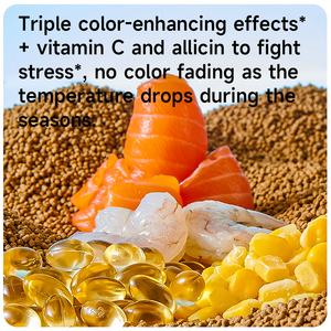อาหารปลาเม็ดจมน้ำ ยี่ห้อ YEE สำหรับ<span class=keywords><strong>ปลา</strong></span>คาร์<span class=keywords><strong>ฟ</strong></span> <span class=keywords><strong>ปลา</strong></span>คาร์<span class=keywords><strong>ฟ</strong></span>บัตเตอร์<span class=keywords><strong>ฟ</strong></span>ลาย โปรตีนสูง ช่วยเพิ่มสีสันและส่งเสริมการเจริญเติบโต สำหรับ<span class=keywords><strong>ปลา</strong></span>ในตู้ปลา - Product Image 4