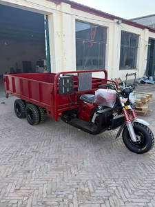 Tricycle de transport à 9 roues refroidi par eau de 400 cm³, charge utile maximale de 2500 kg pour la construction et l'agriculture - Product Image 3