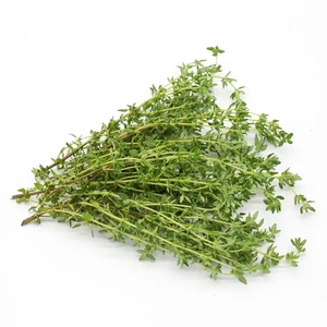 <span class=keywords><strong>Rainbow</strong></span> Supply Thymus Mongolicus Ronn / Poudre de Thym / Extrait de Thymus Vulgaris de Qualité Supérieure - Product Image 2