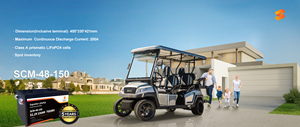 SUPCELION EU Stock 51.2V 150AH Baterai LiFePO4 Terintegrasi BMS untuk Mobil Camping/EV Bluetooth 5.0 IP62 Garansi 10 Tahun 4000 Siklus - Product Image 4