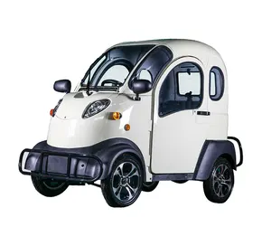 Eec 2 Seater 1 Piece E Voiture Electrique Sans Permis Mini Electric Car